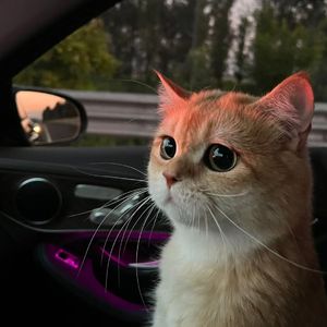 啊哈又加一指啊哈啊
