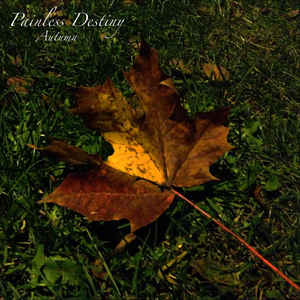 啊哈又加一指啊哈啊
