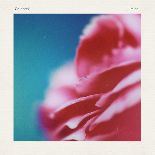 啊哈又加一指啊哈啊
