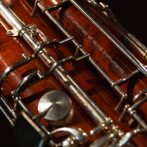 啊哈又加一指啊哈啊
